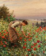 Daniel Ridgeway Knight Girl Picking Poppies oil on canvas